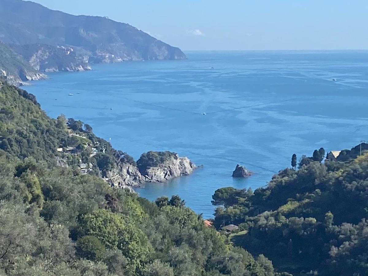 Villa Casa Luci Levanto Esterno foto