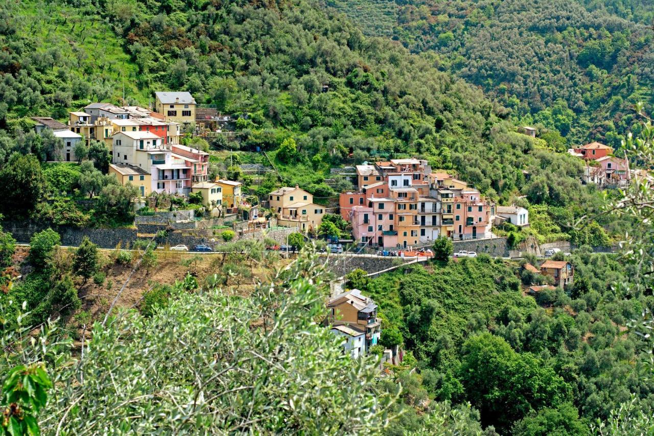 Villa Casa Luci Levanto Esterno foto